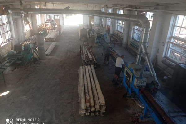Wood processing plant in the Rivne region for sale